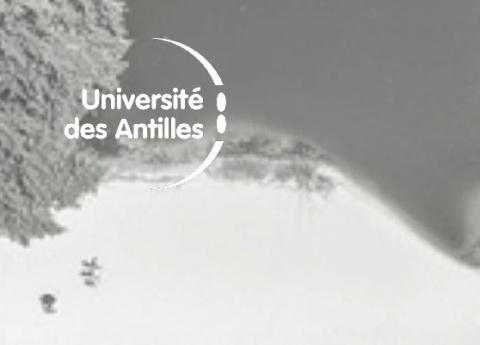 Université des Antilles