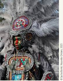 Exposition "De Perles et de Plumes"