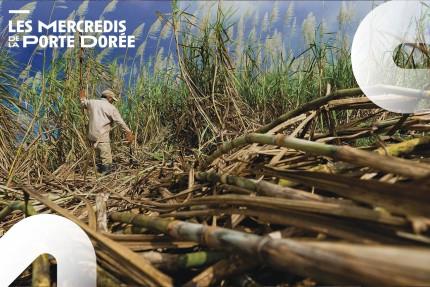 Les mercredis de la Porte dorée - Peut-on réparer?