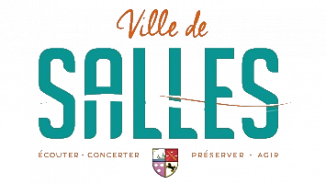 Logo ville de Salles