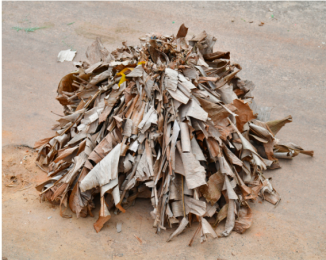 Les feuilles de bananiers employées par le Nego Fugido, éléments symboliques liés à l'ancestralité autant qu'à la violence esclavagiste. Nicola Lo Calzo, Ville d'Acupe. 2022. Série Nego Fugido.