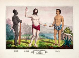 Cette planche didactique donne à voir trois représentations stéréotypées d’hommes de couleurs différentes