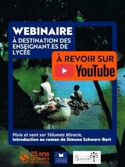 visuel webinaire 