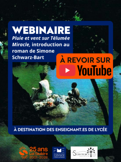 visuel webinaire 
