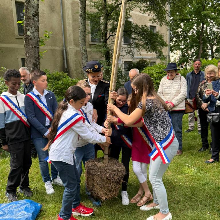 Plantation du savonier dans les jardins de la préfecture de l'Ardèche