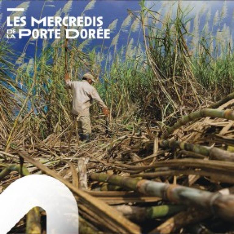 Les mercredis de la Porte dorée - Peut-on réparer?