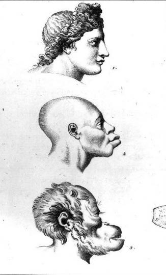 Duhamel "L'angle facial des espèces" Duhamel, in Julien-Jospeh Virey, Histoire naturelle du genre humain. Paris, 1801